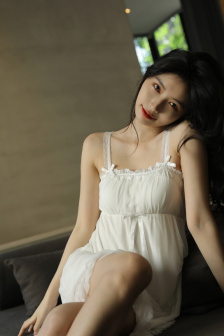 完美的妻子